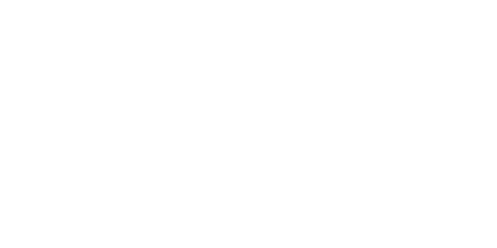 Catalyst stage